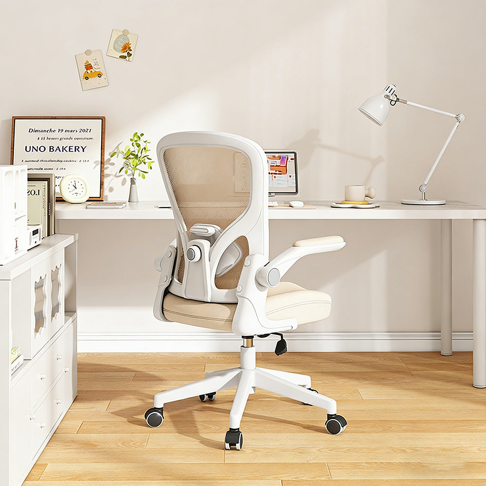 Ergonomic Office Chair Bowlift