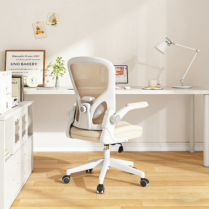 Ergonomic Office Chair Bowlift