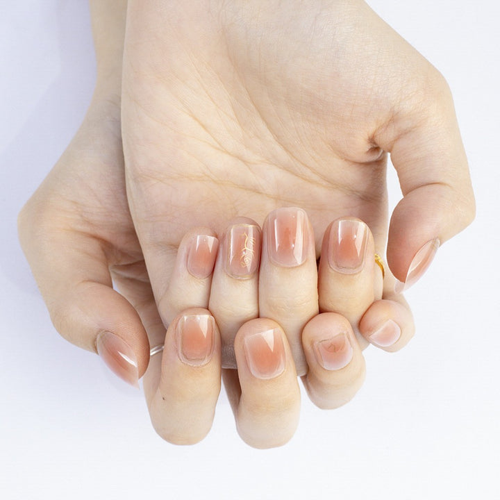 High-gloss artificial nails with rose effect Bowlift