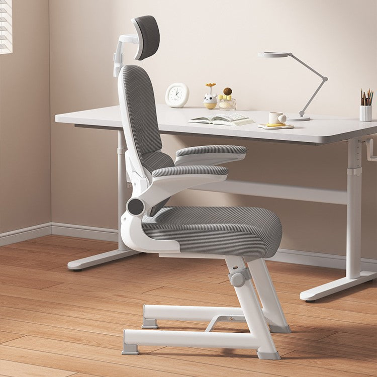 Ergonomic Office Chair Bowlift