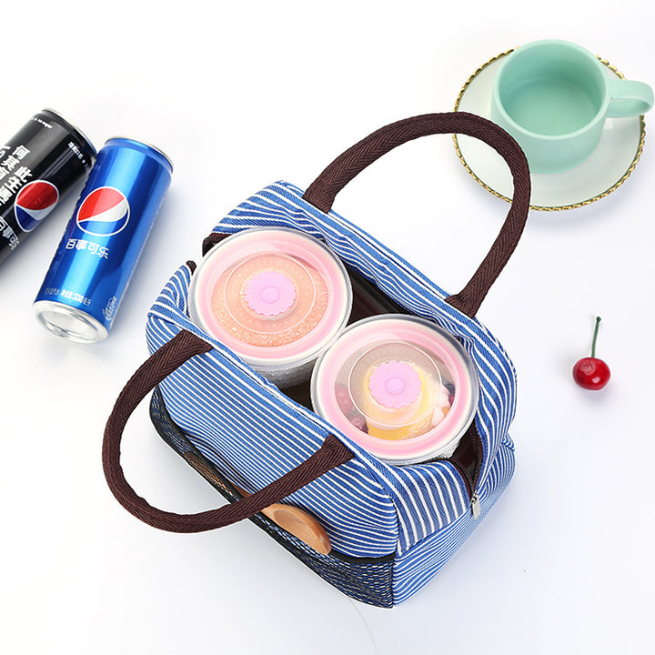 Stylish Insulated Lunch Bowlift