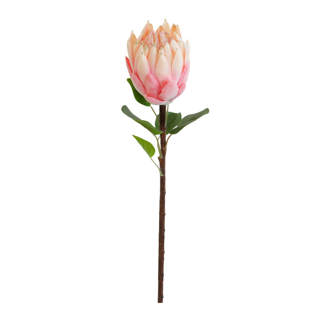 Artificial Protea Flower Bowlift