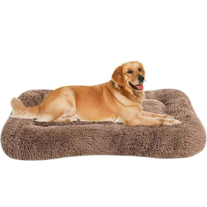 Orthopedic Support Dog Bed