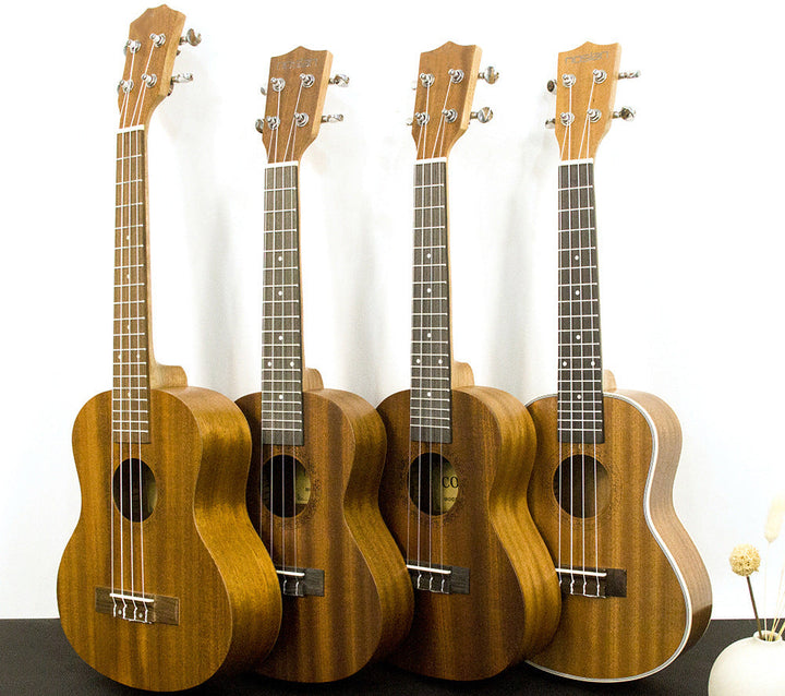 Rainbow Acoustic Ukulele Bowlift