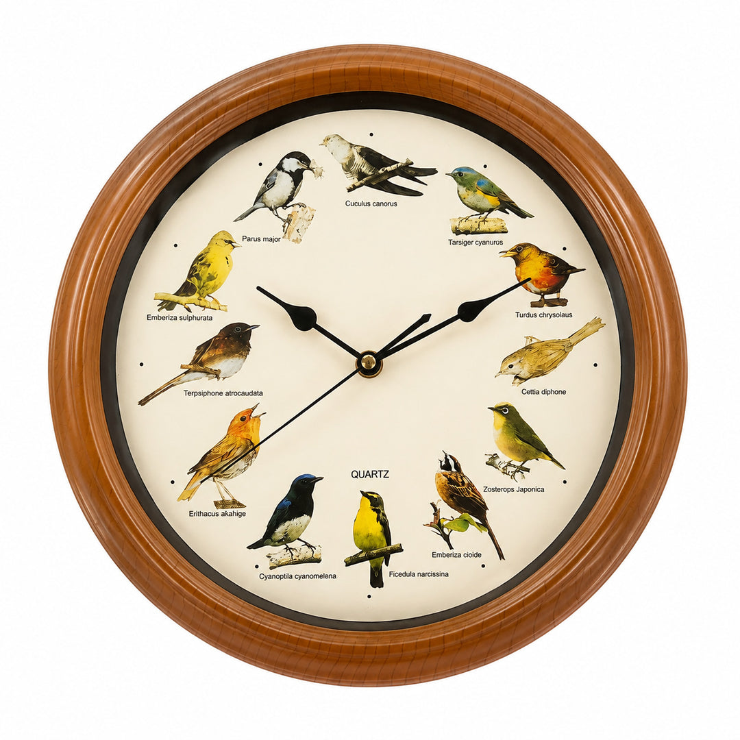Wall clock with colorful bird design Bowlift