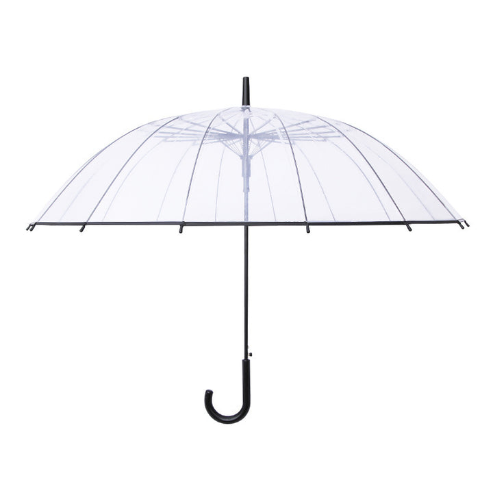 Women Transparent Design Folding Umbrella Bowlift