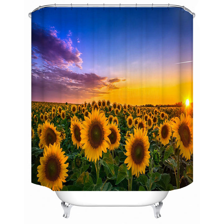 Decorative Shower Curtain Bowlift