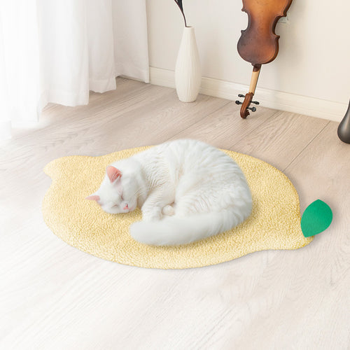 Ladies Fluffy Blanket Bowlift