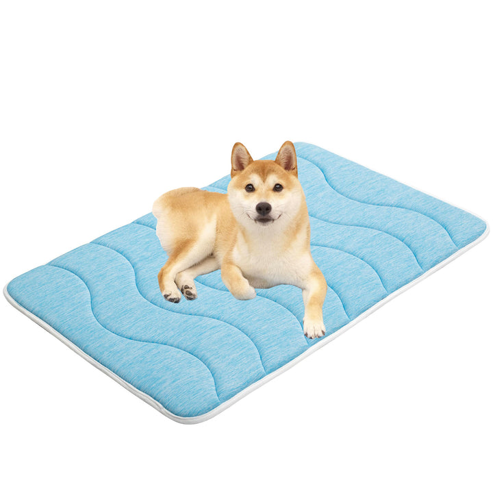 Ladies orthopedic dog bed Bowlift
