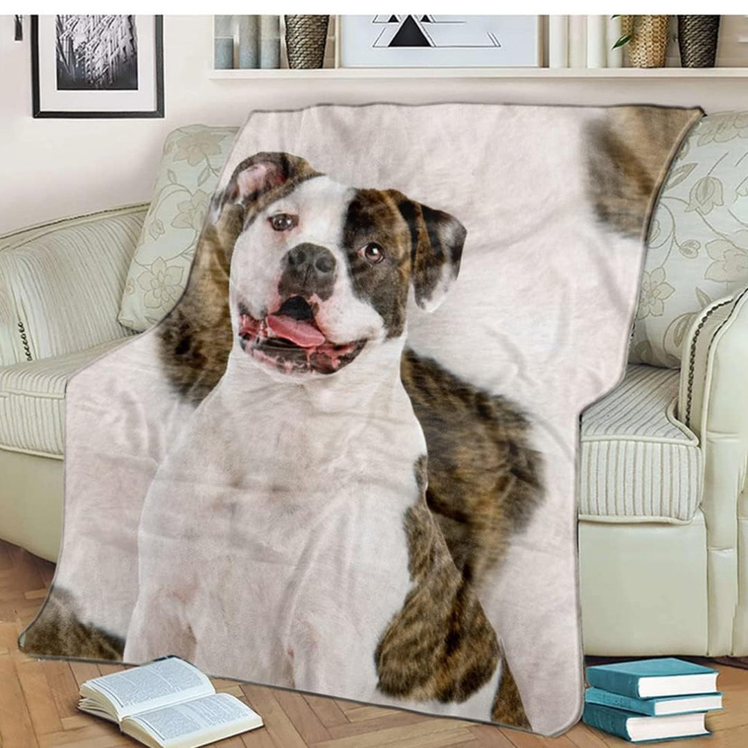 Decorative Wall Tapestry Bowlift