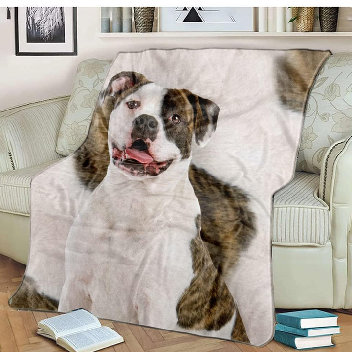 Decorative Wall Tapestry Bowlift