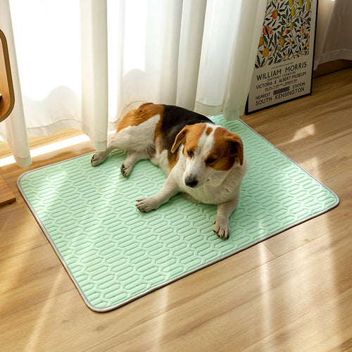 Orthopedic Comfort Dog Mat