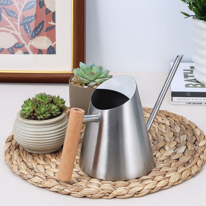 Stylish Metal Watering Can