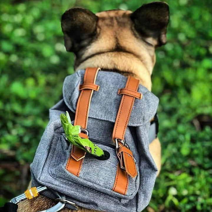 Unisex practical pet backpack with safety closure Bowlift