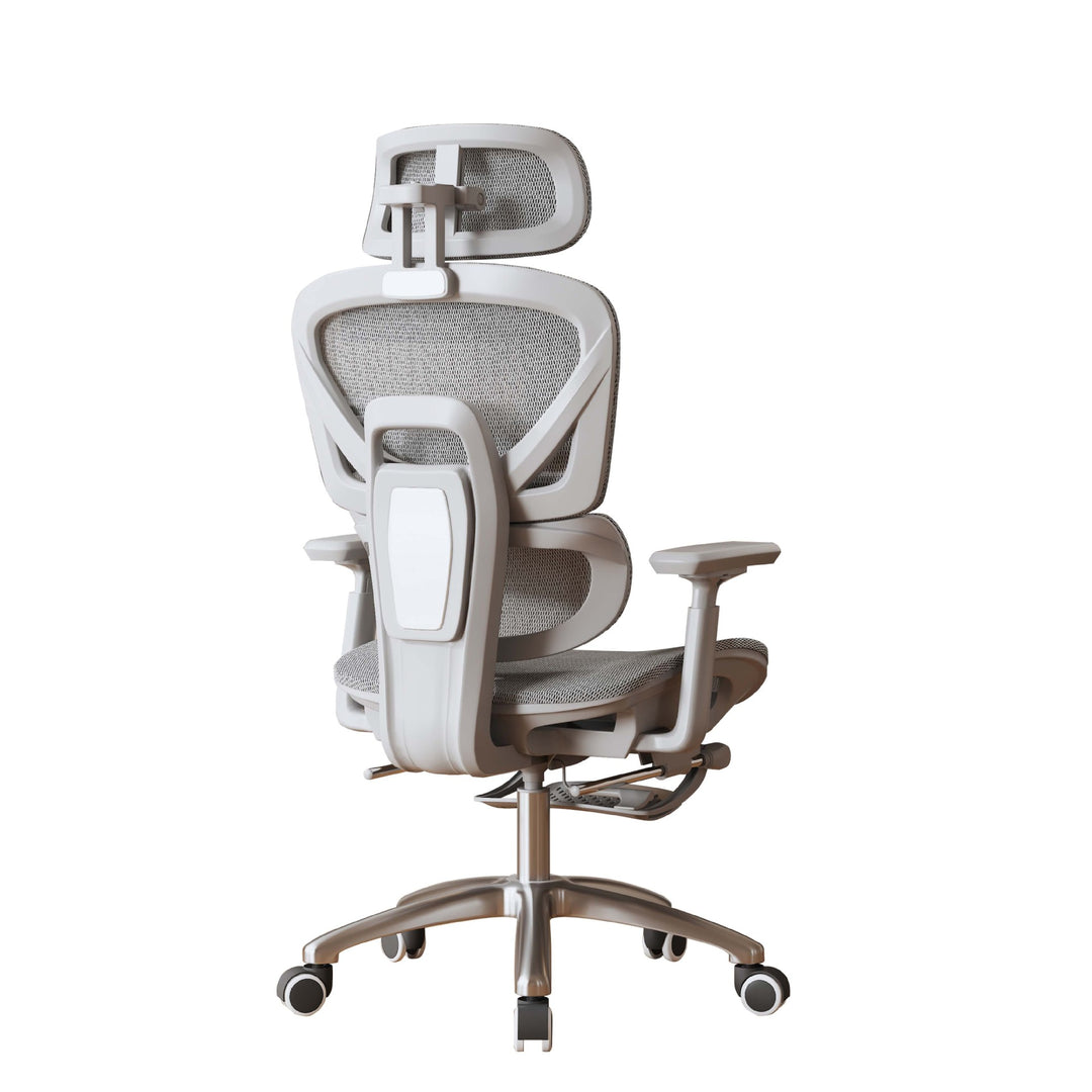 Adjustable Lumbar Support Office Chair Bowlift