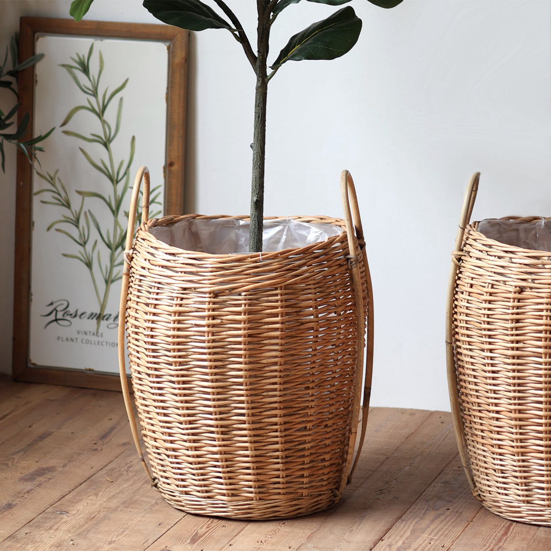 Decorative Plant Basket Bowlift
