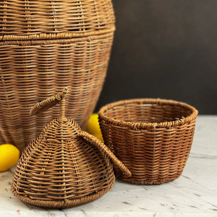 Playful fruit basket with lid Bowlift