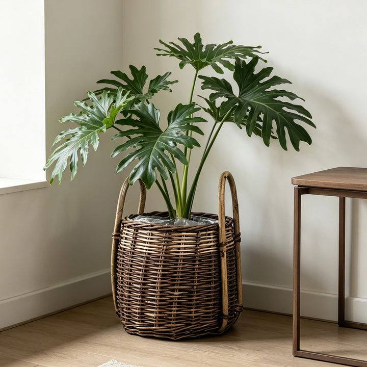 Natural woven storage basket Bowlift