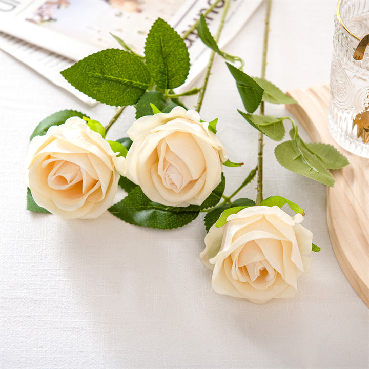 Realistic Elegant Rose Stem