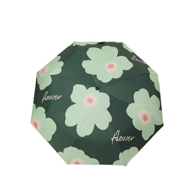 Ladies Rainbow Colored Folding Umbrellas Bowlift