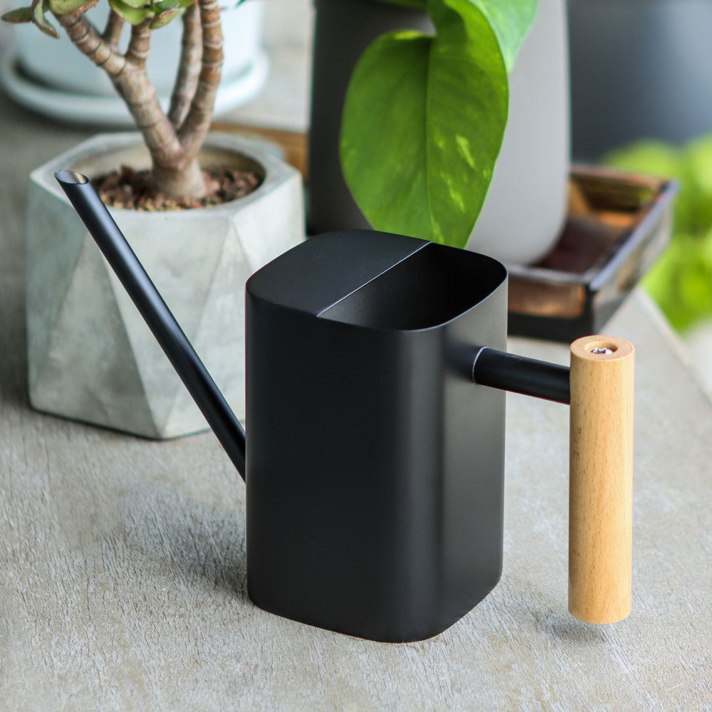 Modern Watering Can