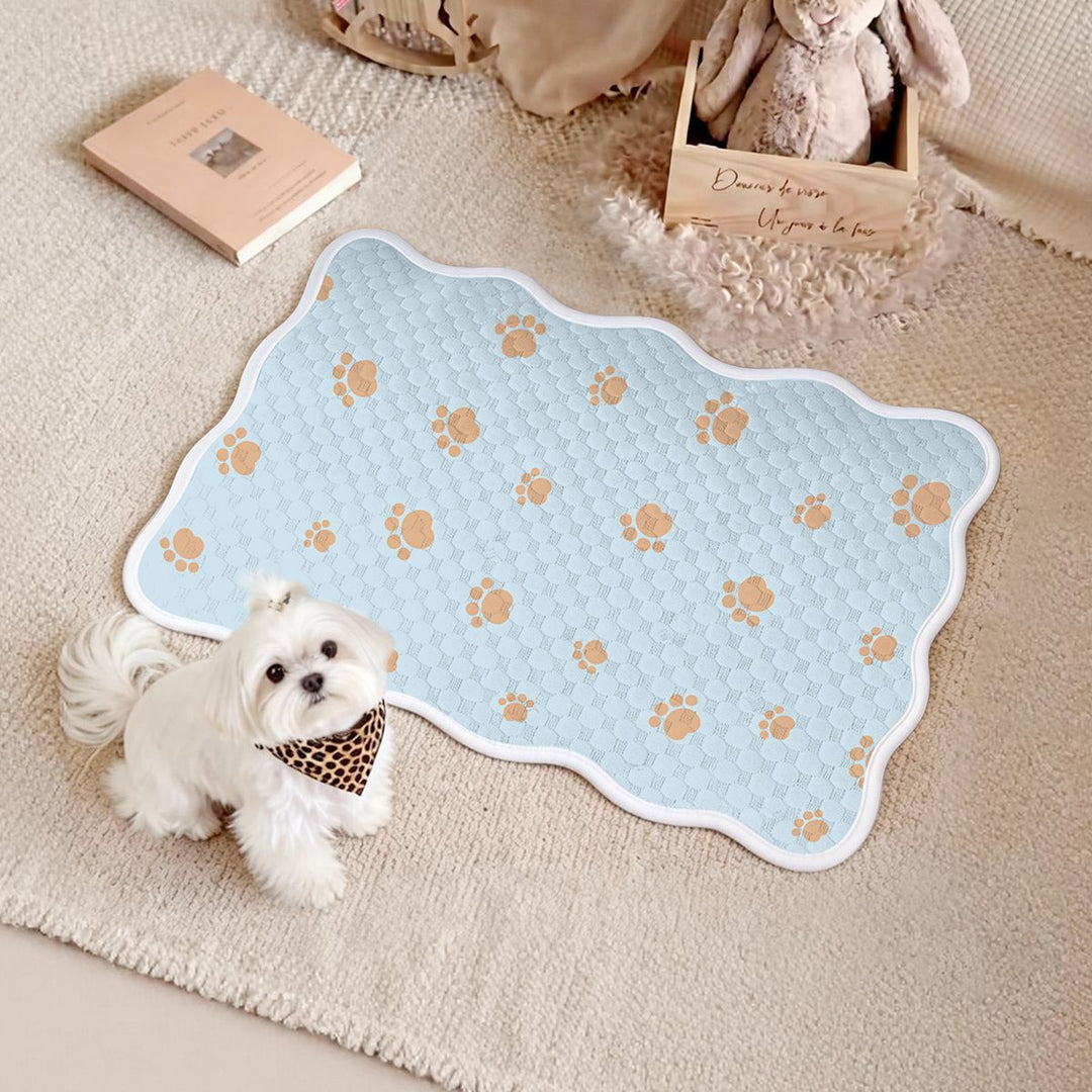 Women's Comfortable and Breathable Pet Resting Mat with Non-Slip Bottom Bowlift