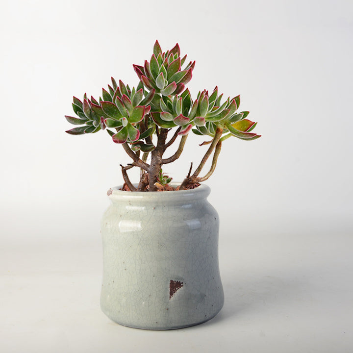 decorative storage pot Bowlift