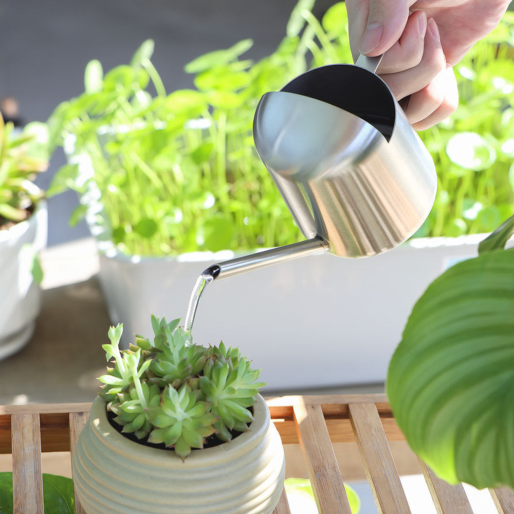 Modern Stainless Steel Watering Can