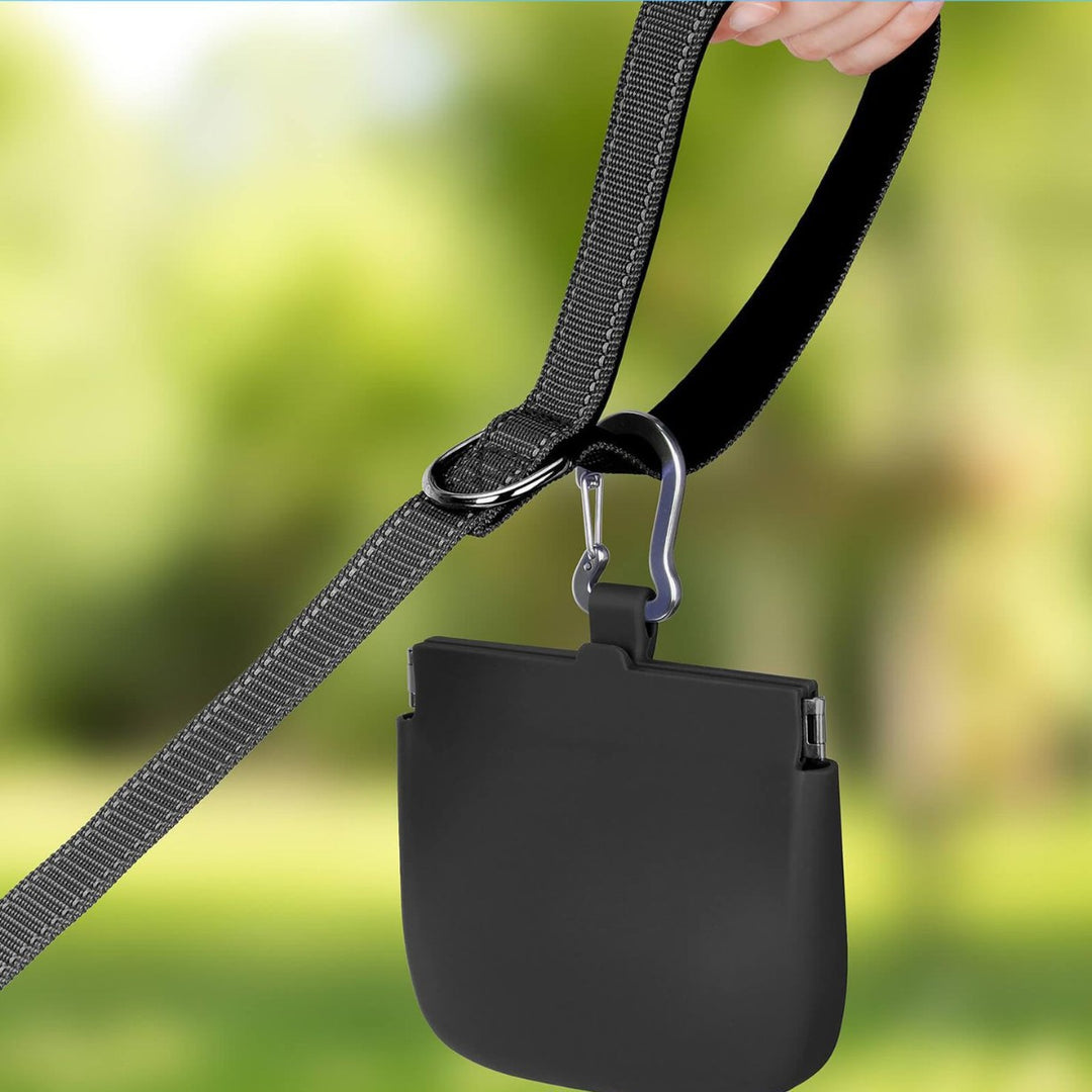 Silicone hanging dog treat pouch with metal carabiner clip Bowlift