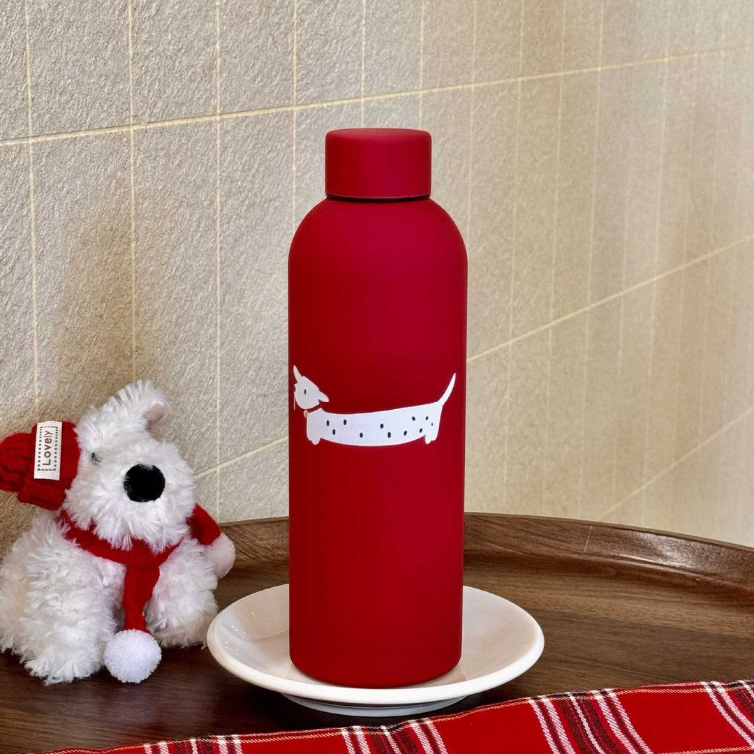 Ladies insulated and stylish drinking bottle Bowlift