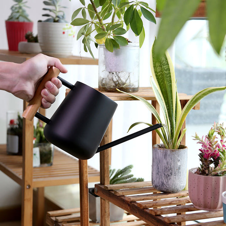 Modern Ergonomic Watering Can
