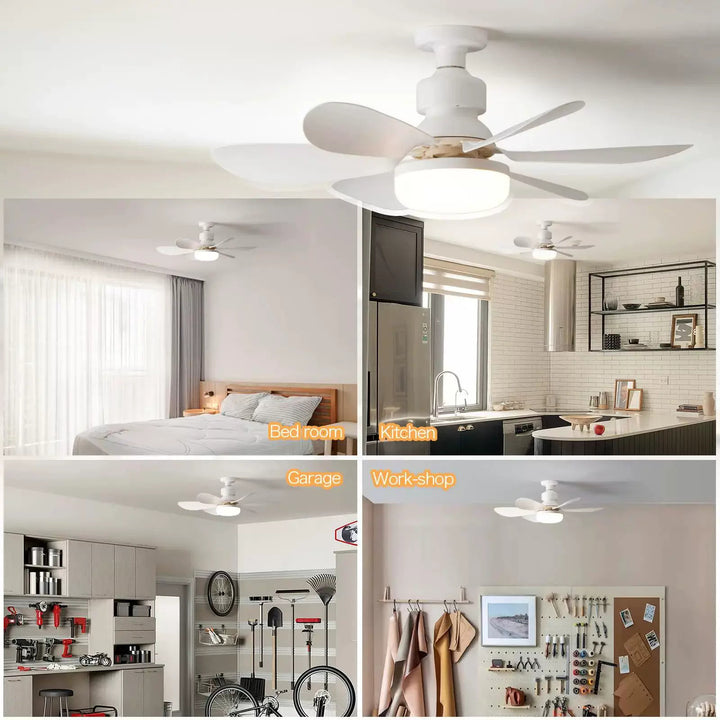 Colorful Ceiling Fan Bowlift