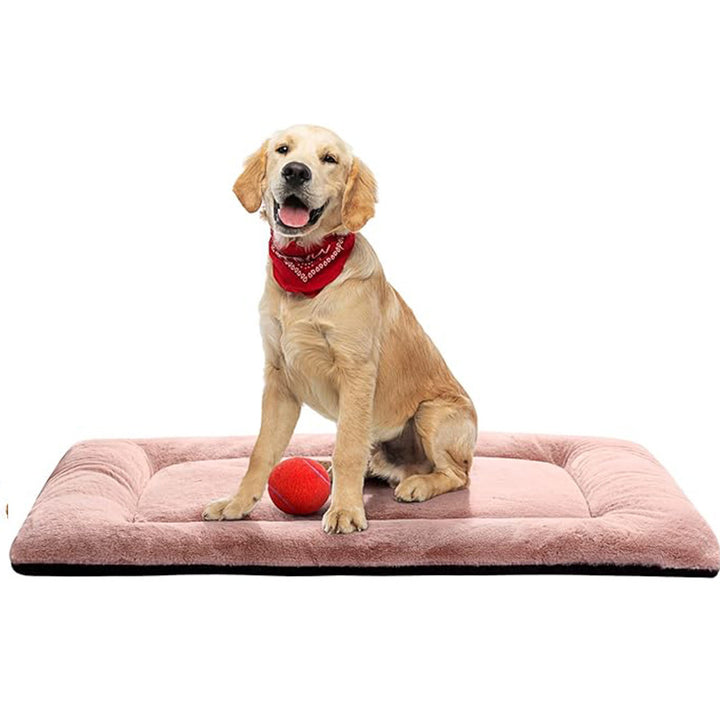 Comfort   Dog Bed
