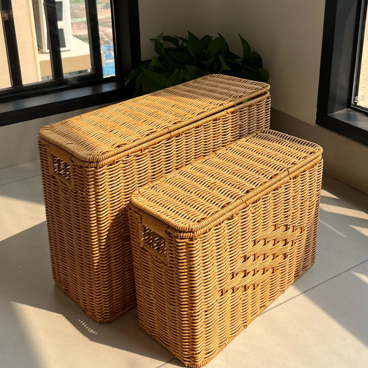 Storage Basket Bowlift
