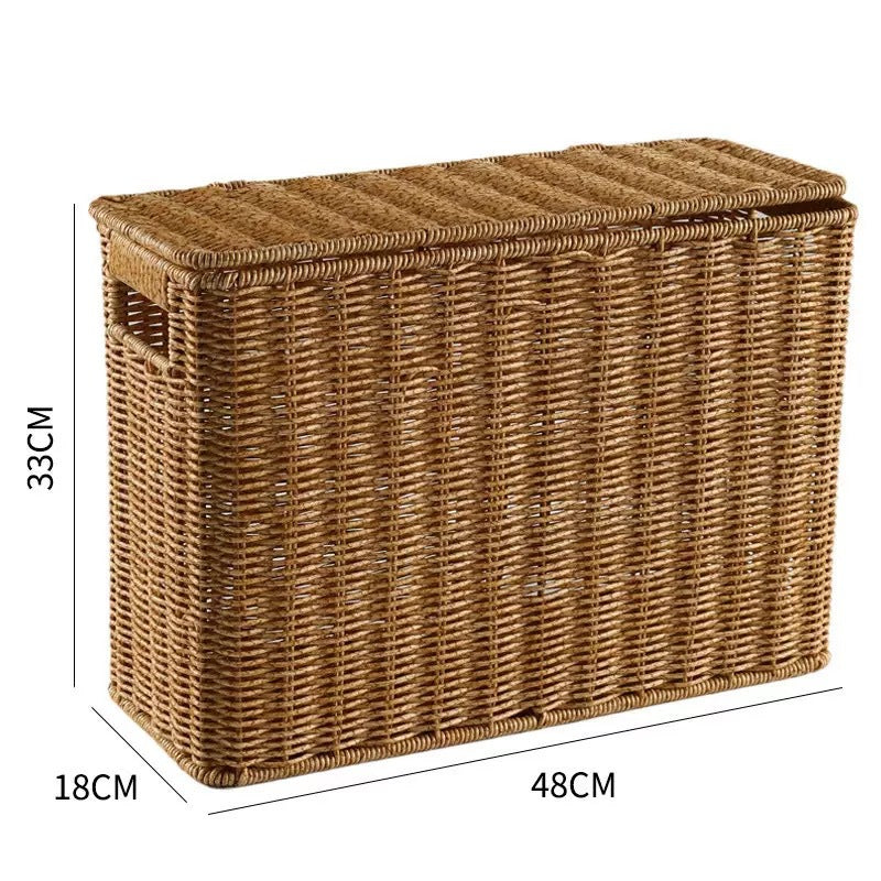 Unisex decorative rattan storage box Bowlift