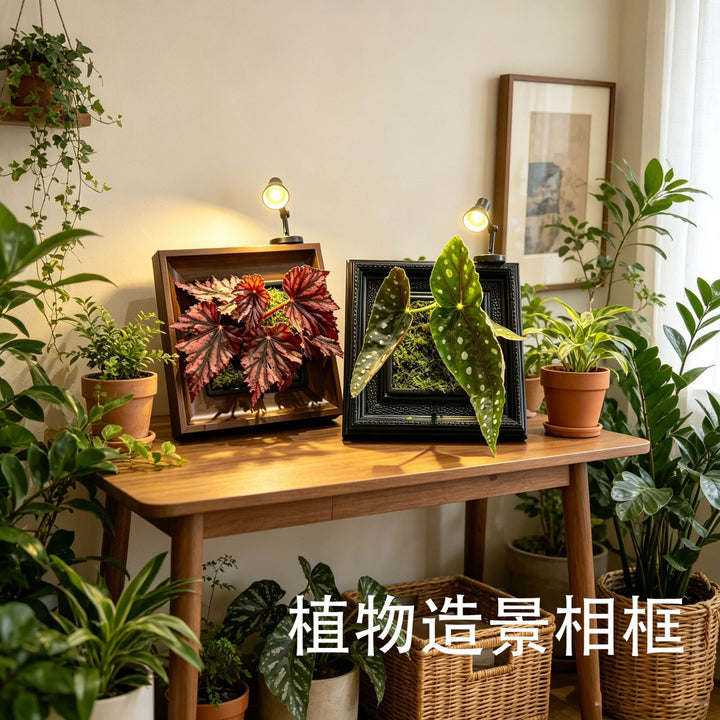 Decorative Plant Shadow Box Frame