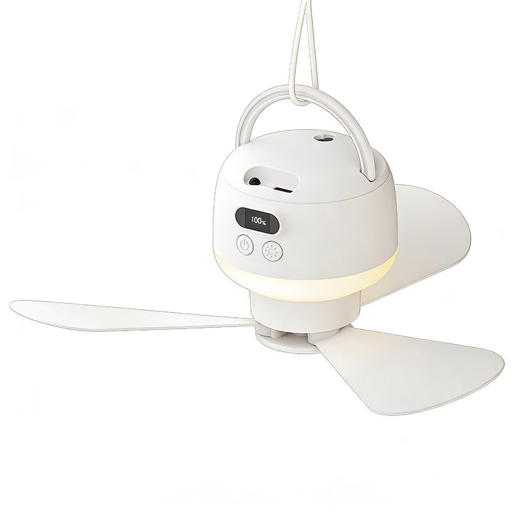 Unisex ceiling fan with integrated LED lighting Bowlift
