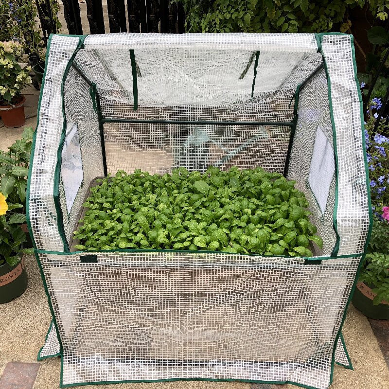 Mini Greenhouse