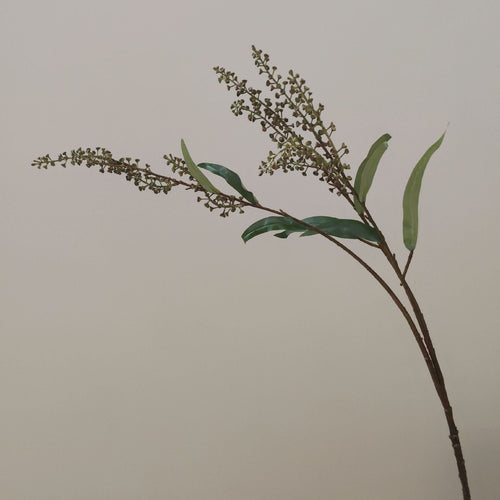 Decorative Botanical Branch