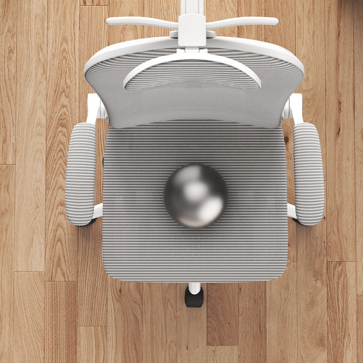 Ergonomic Office Chair Bowlift