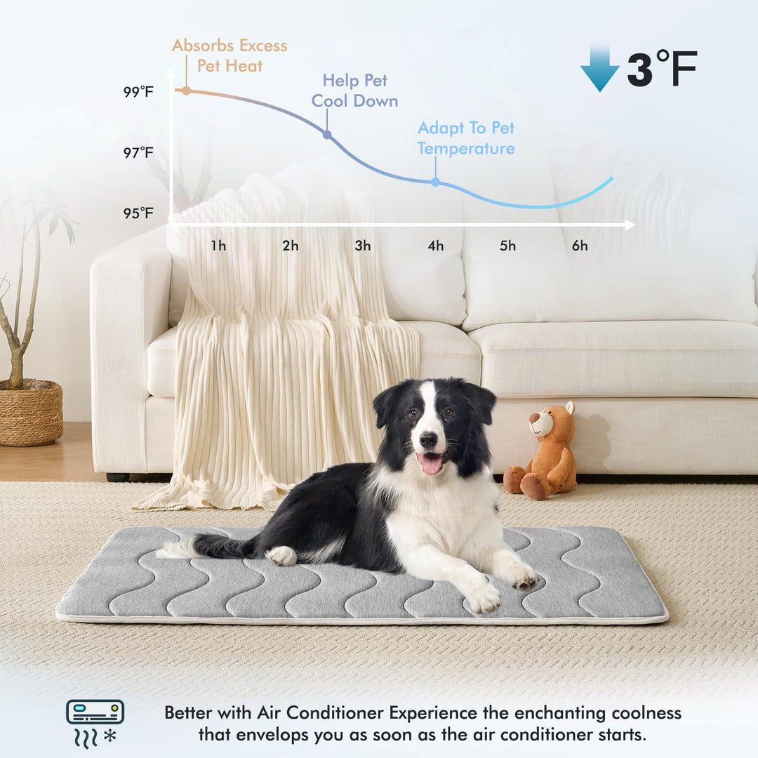Ladies orthopedic dog bed Bowlift