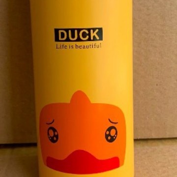 Insulated Kids Water Bottle Bowlift