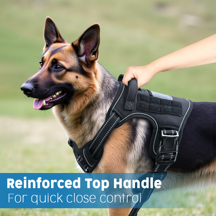 Padded no-pull tactical dog harness with sturdy handle and reflective trim Bowlift