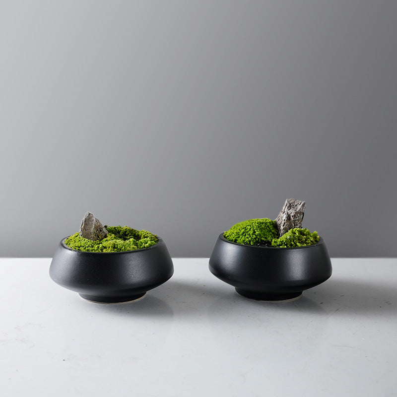 Decorative Moss Bowl with Pedestal Base