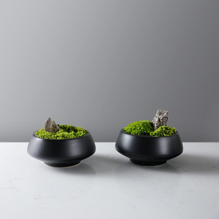 Decorative Moss Bowl with Pedestal Base