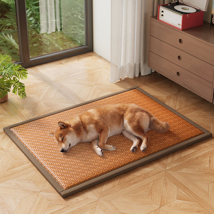 Orthopedic Dog Mat Bowlift
