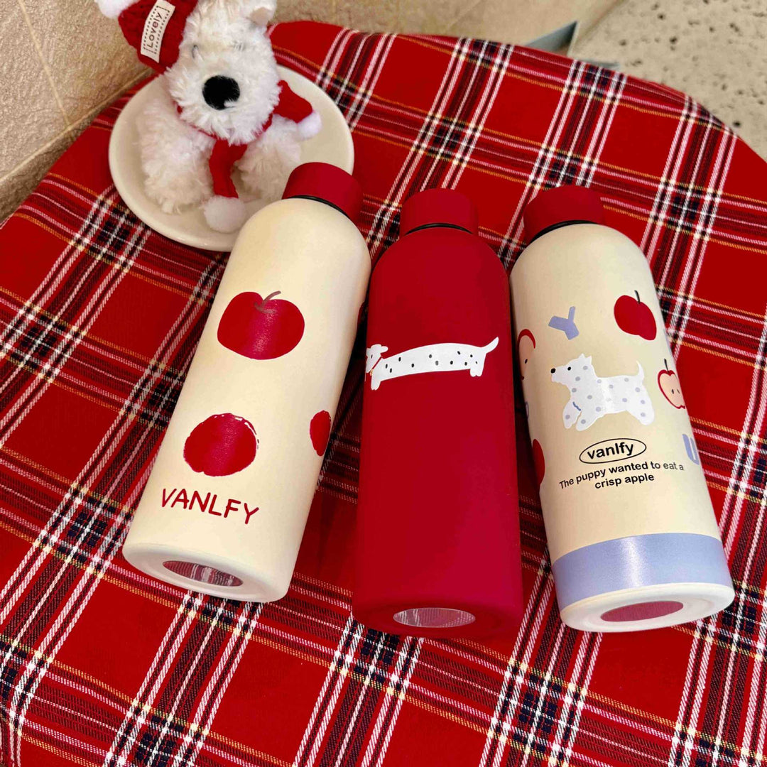 Ladies insulated and stylish drinking bottle Bowlift