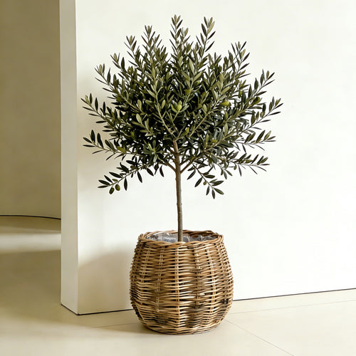 Handcrafted basket with natural flair Bowlift