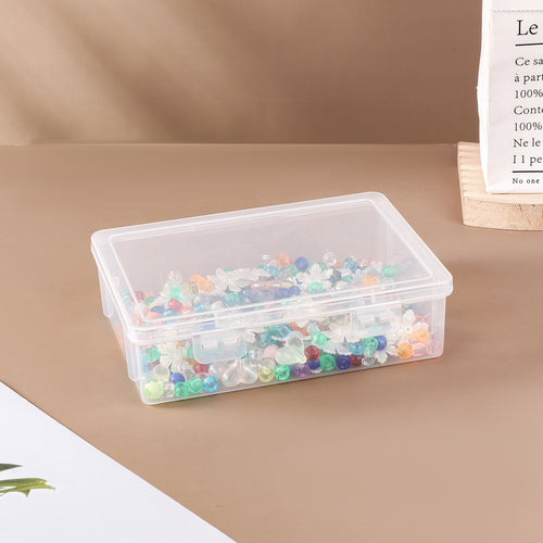 Versatile Clear Storage Organizer Box Bowlift