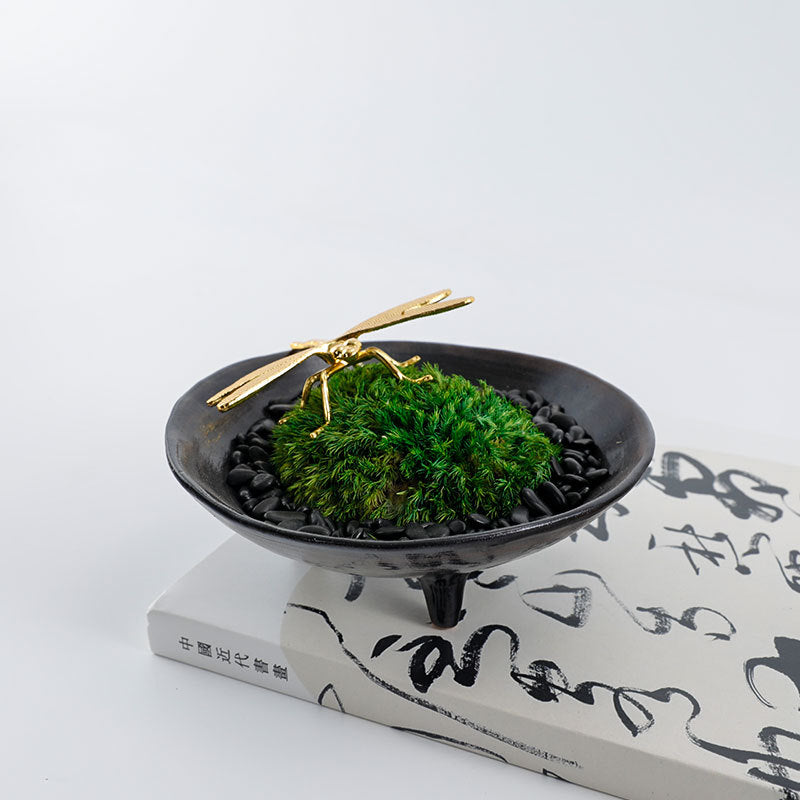 Decorative Botanical Display